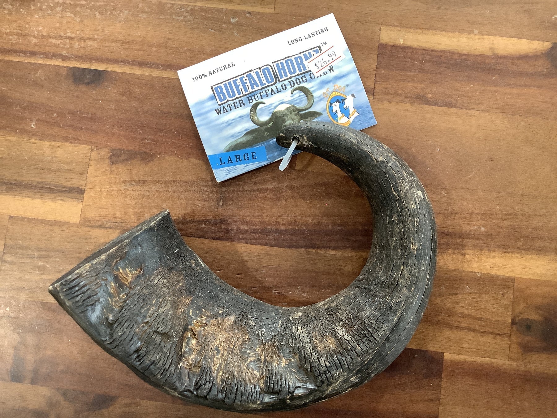 Water Buffalo Large Hornz Dog Chew