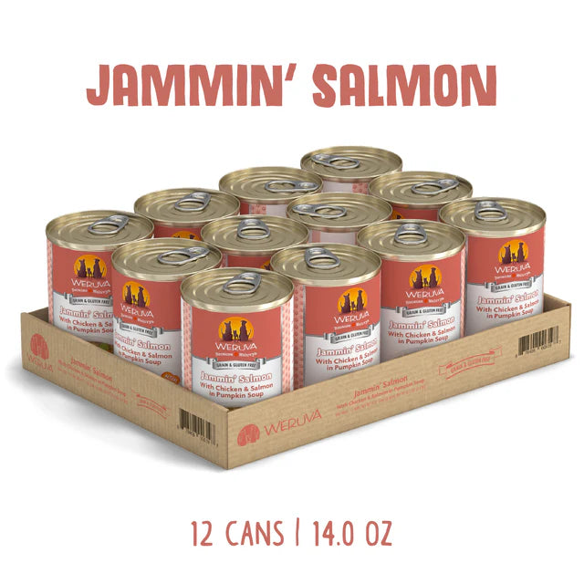Weruva Jammin Salmon Dog Food 14oz