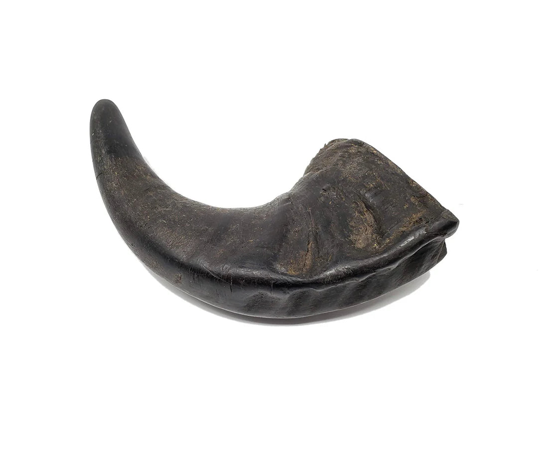 Water Buffalo Hornz Dog Chew Small